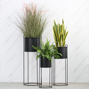 组合植物展示